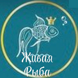 Сёмга,ФОРЕЛЬ ОХЛАЖДЁННАЯ