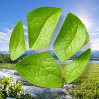 Живая Планета