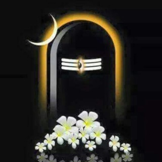 ЖИВАЯ ИНДИЯ