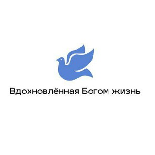 Вдохновлённая Богом жизнь🌿☘️