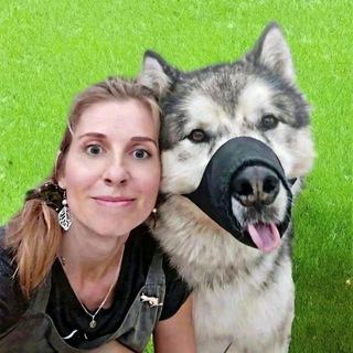 Лизина Банда | Тула | Будни грумера 🎀