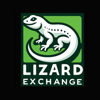 Lizard 🦎