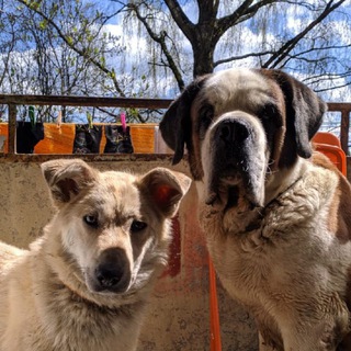 ➡️ заметки Лизаветки