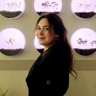 Лес рук | Teacher's Diary