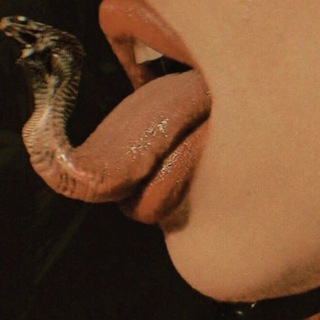 Лизонькины истории🤸🏻‍♀️