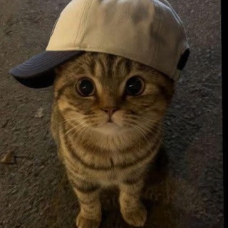 Приворот Лизы