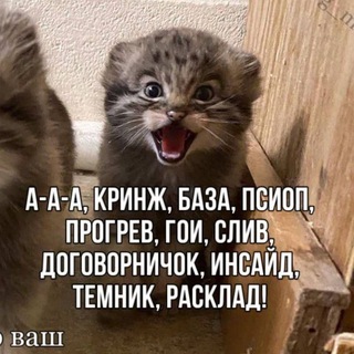 Lingua Latina Non Penis Canina