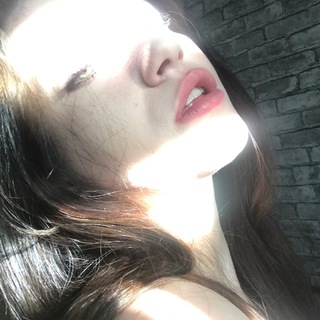 эволюция бультерьера