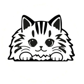 LMpets - дом кошачьего счастья 😻 Здесь находят друг друга 💞