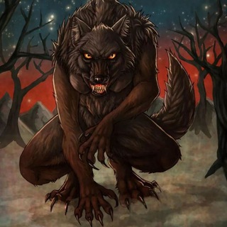 Lobinho ( Reativado em virtude do covid-19)