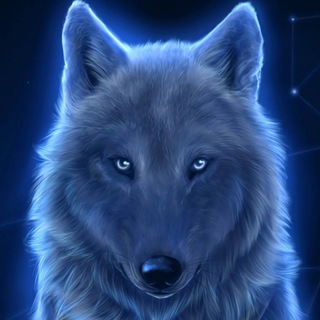 Lobos franceses 🇫🇷(beauxbatons)