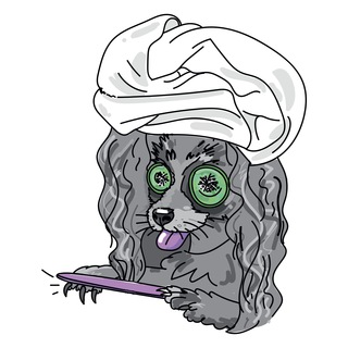 Loft-Dog Pro груминг