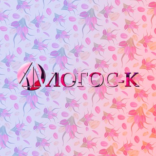 ЛОГОС-К: 1С Франчайзи