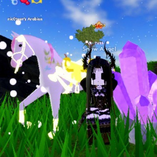 ☾︎✞︎ Moonstone ✞︎☽︎ WHI/rs shop