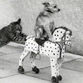 LOL, держи мем