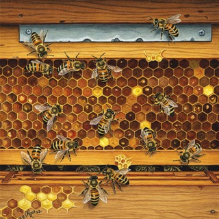 Одинокий ооцит эволюции