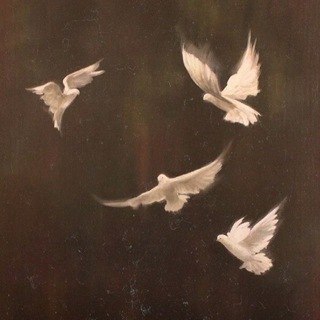 Литературная кома