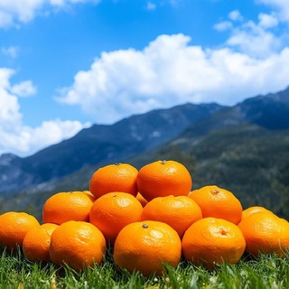 Жизнь, технологии, финансы