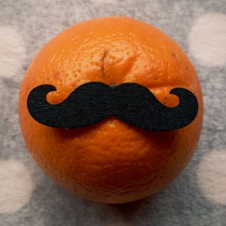 Книжный Сомелье 👌