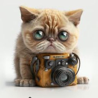 Поле чудес Джексона 🌈