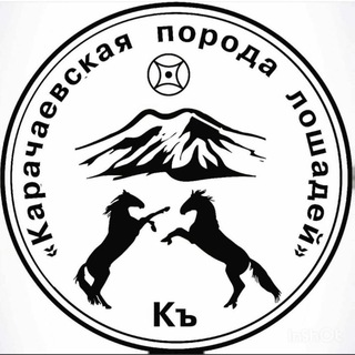 Ioshadi_karachaya_09