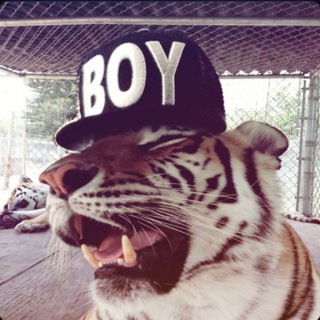 звуки для липсингов🎰