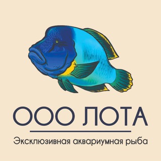 ЛОТА морские рыбки