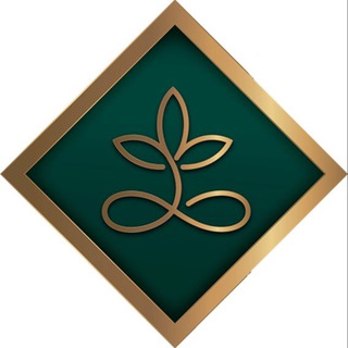 LOTOSSTUDIO | Реутов