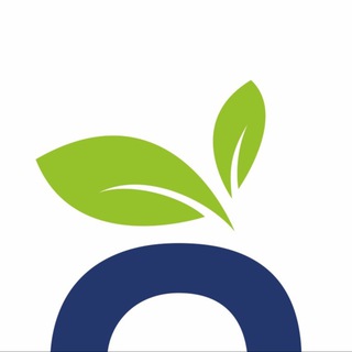 Lotta | Чистота и уют дома 🌱