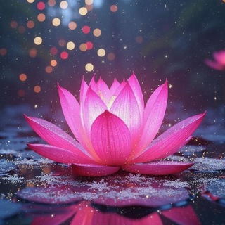 Учим калмыцкий 🌷 ManaDun 2 🪷 Lotusland 🌏