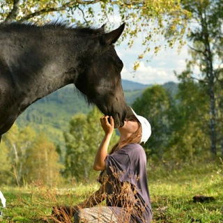 Алтай - это рай