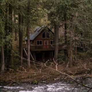 🌲꩜ 𝚐𝚘𝚋𝚕𝚒𝚗𝚔𝚘𝚛 𝚍𝚘𝚖𝚒𝚔 ꩜🌲