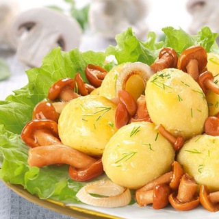 Любимые рецепты на каждый день