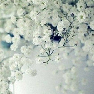 с любовью, SAX