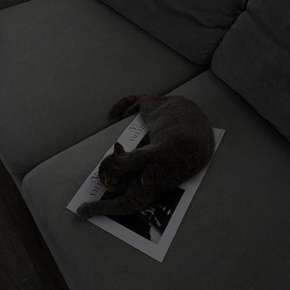 РЕСТ🤍уᴦᴏᴧᴏᴋ уюᴛᴀ🤍