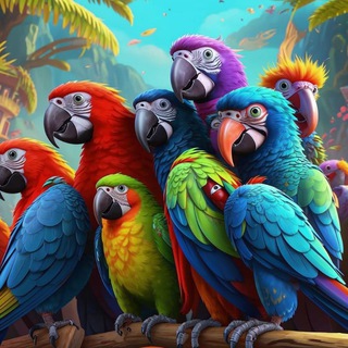 Любимые попугаи