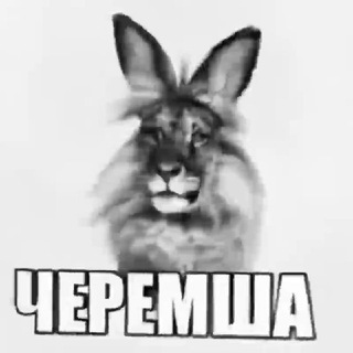 ЗАКРЫТ|ЛЮБИМЫЙ МЕМ CONFESSION ‼️