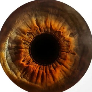 Зʙёɜдᴏчᴋи ᴏᴛ ʙᴇᴩᴏничᴋи🖤