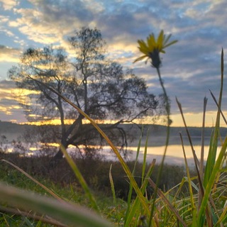 Влюбленные в жизнь. Литературный канал