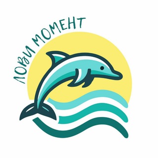 🐬 Лови момент 🐬