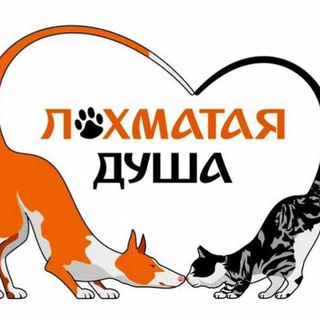 ЛОХМАТАЯ ДУША – ПОМОЩЬ ДРУГУ