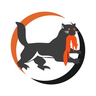 Либертарианский Иркутск | ЛПР Иркутск