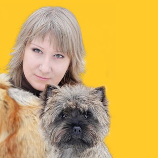 Записки Керновода LSq© или домовой журнал 🐾