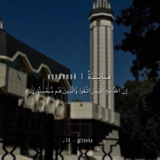 извлекай | فَائِدَةٌ