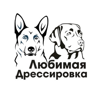 Любимая Дрессировка 🐶