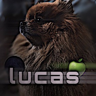 Луᴋᴀ Бᴇбᴩиᴋ 🌊