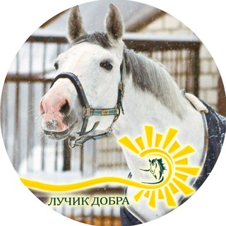 "Лучик Добра" детский конно-досуговый центр