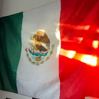 Логово лудика