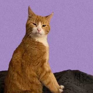 Люмьера Обыкновенная