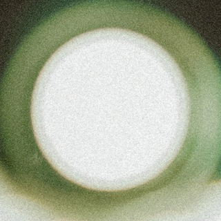 Люди в Солнце ✨